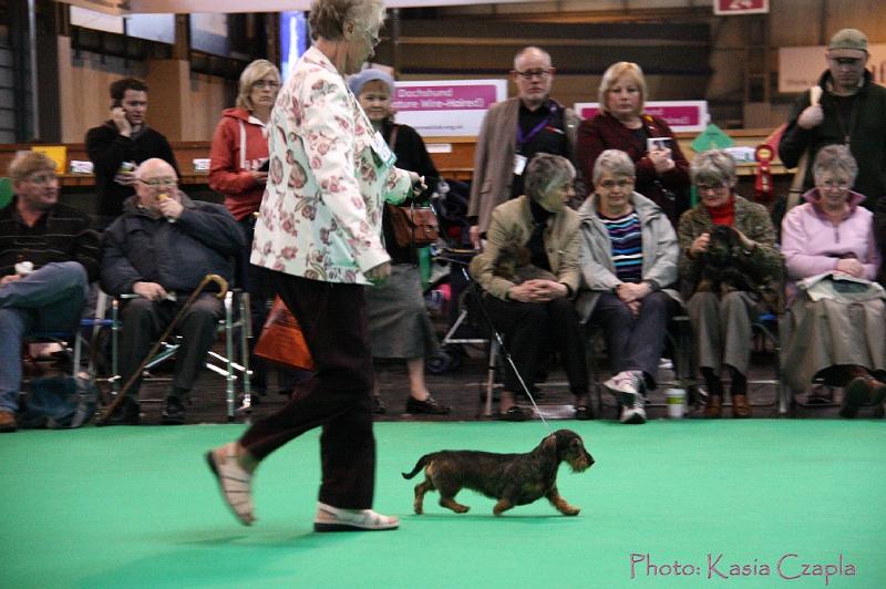 Crufts2011_2 1647.jpg